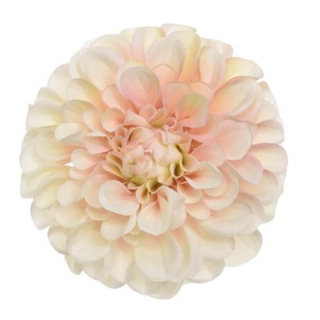 DALIA GŁÓWKA 10CM TAJ1026 PEACH