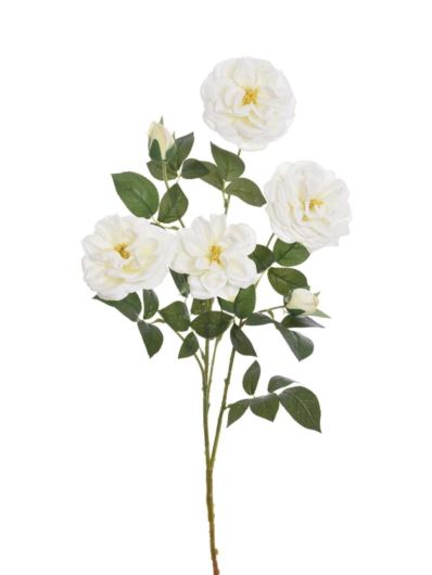 RÓŻA ANGIELSKA GAŁĄZKA 80CM ERA1051 CREAM