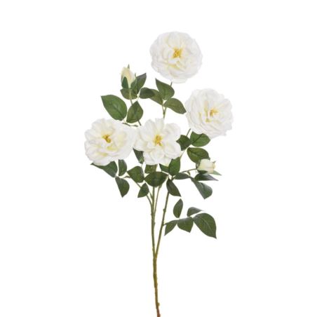RÓŻA ANGIELSKA GAŁĄZKA 80CM ERA1051 CREAM