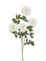 RÓŻA ANGIELSKA GAŁĄZKA 80CM ERA1051 CREAM