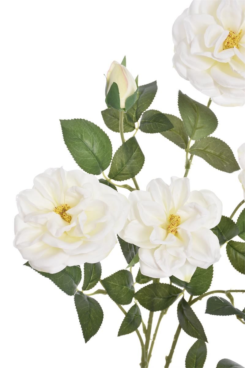 RÓŻA ANGIELSKA GAŁĄZKA 80CM ERA1051 CREAM