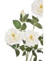 RÓŻA ANGIELSKA GAŁĄZKA 80CM ERA1051 CREAM