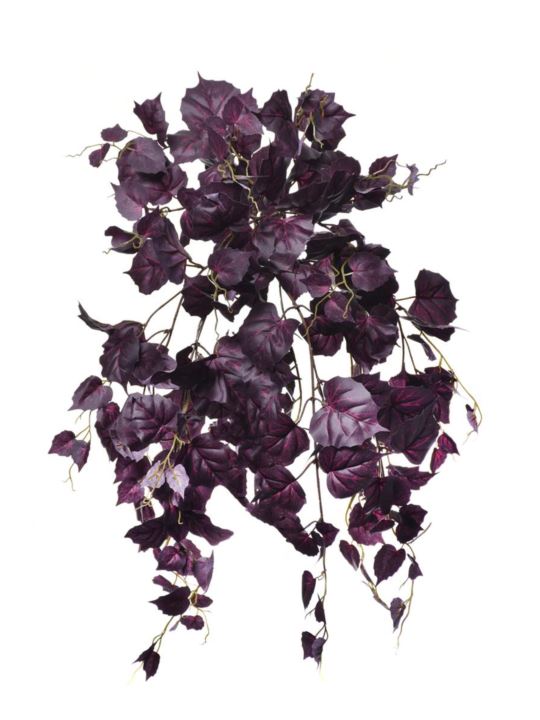 BLUSZCZ LESZCZYNA 65CM SUN647 BURGUNDY