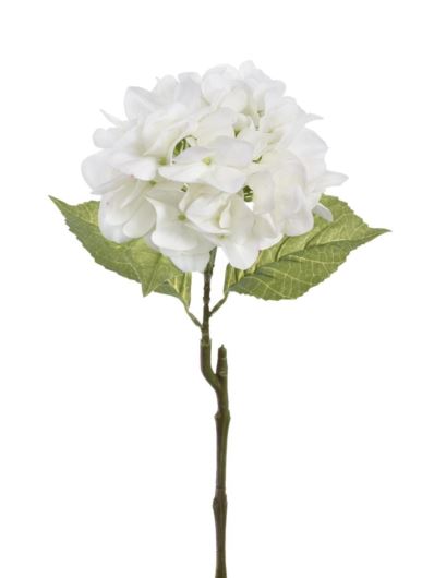 HORTENSJA POJEDYNCZA 60CM TAJ1025 WHITE