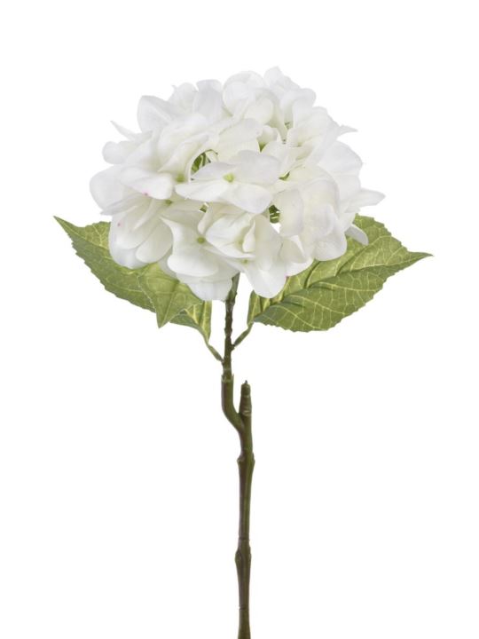 HORTENSJA POJEDYNCZA 60CM TAJ1025 WHITE