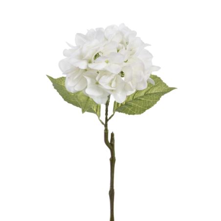 HORTENSJA POJEDYNCZA 60CM TAJ1025 WHITE
