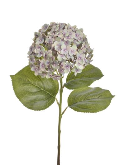 HORTENSJA GAŁ 82CM RUN2001 REAL TOUCH LT OLIVE BEA