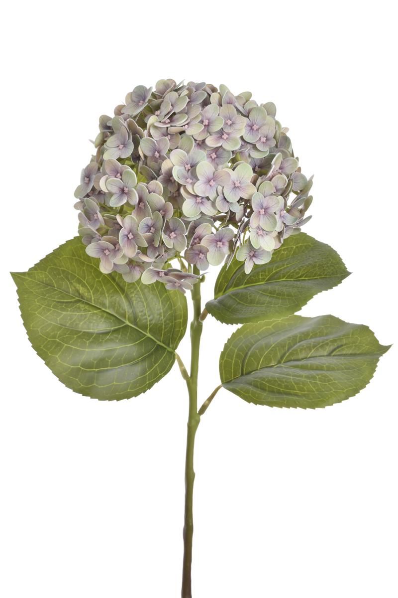 HORTENSJA GAŁ 82CM RUN2001 REAL TOUCH LT OLIVE BEA