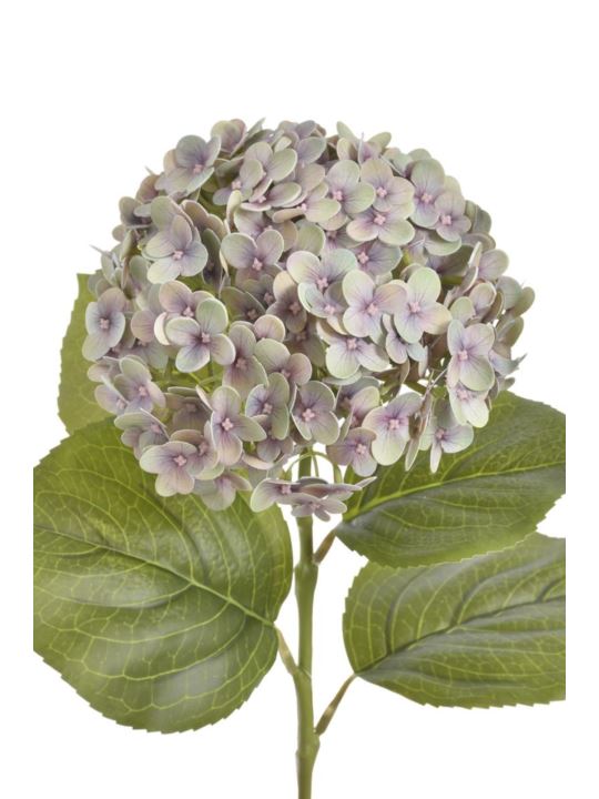 HORTENSJA GAŁ 82CM RUN2001 REAL TOUCH LT OLIVE BEA