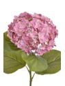 HORTENSJA GAŁ 82CM RUN2001 REAL TOUCH DR PINK