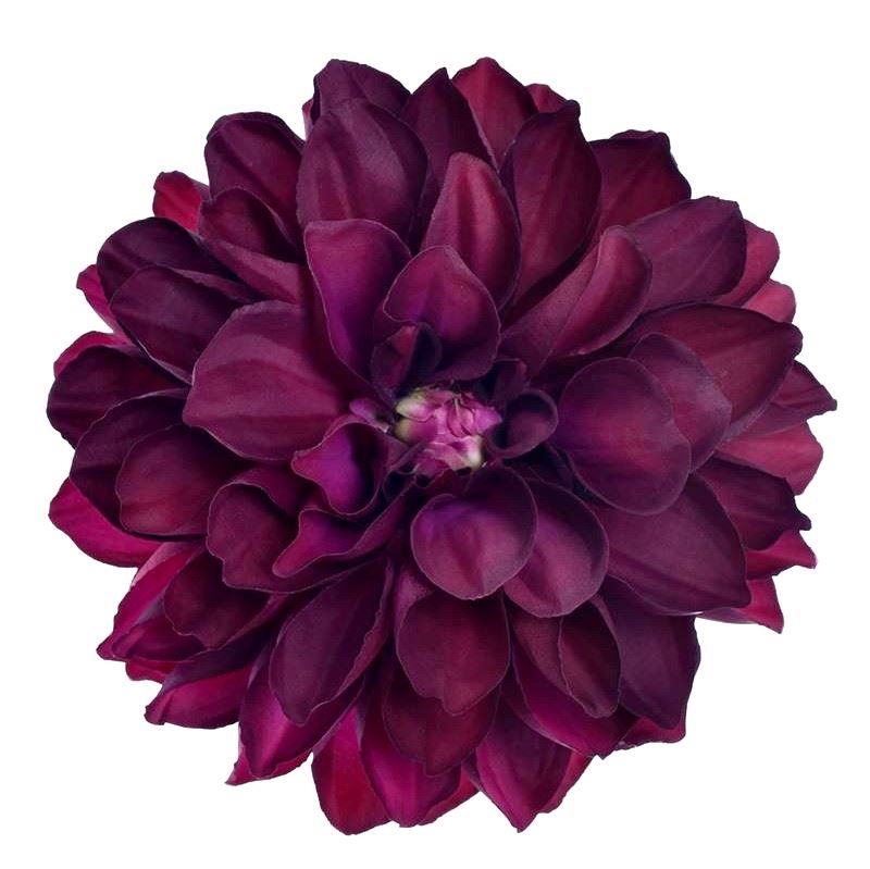 DALIA GŁOWA 16CM TAJ1027 BURGUNDY