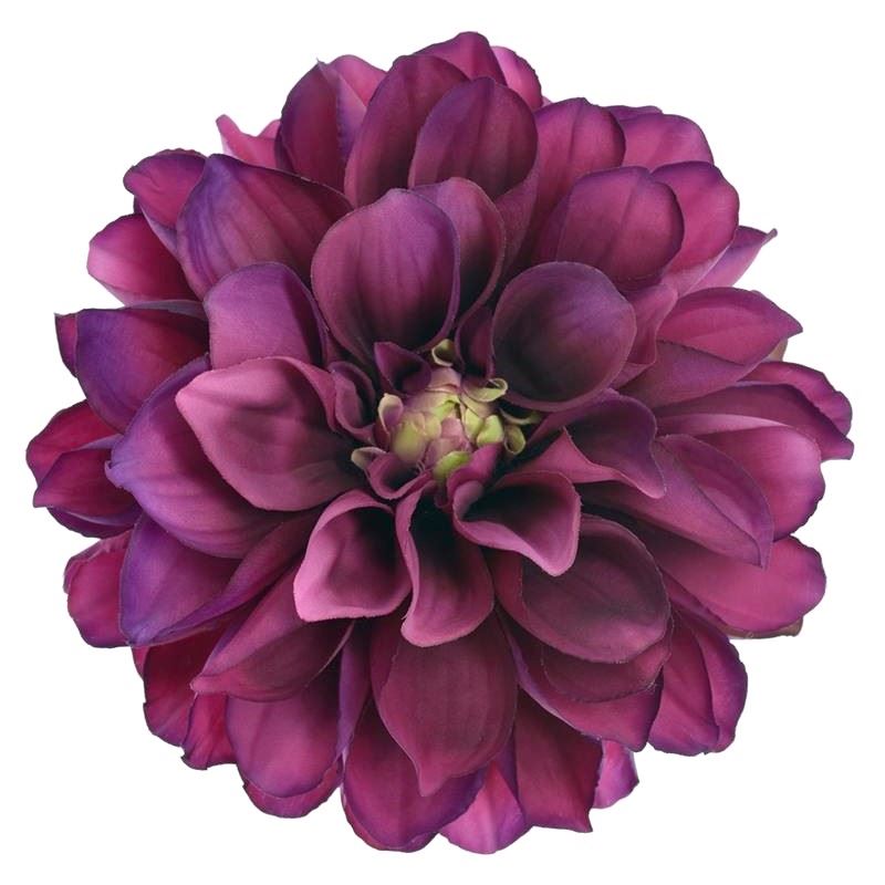 DALIA GŁOWA 16CM TAJ1027 FUCHSIA