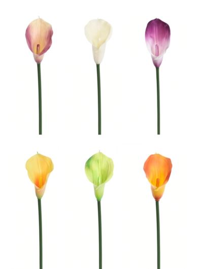 CALLA GUMA 72 CM  ANA1013 6 KOLORÓW  MIX1