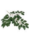 LIŚĆ RÓŻANY - GAŁĄZKA 60CM (42 LVS) GREEN