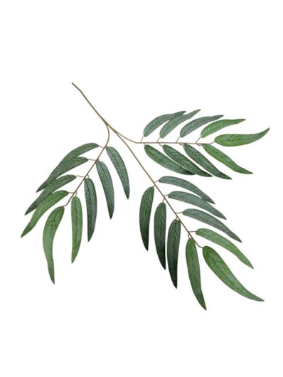 EUKALIPTUS NICOLI GAŁĄZKA LIŚCI 72CM GREEN POWDER