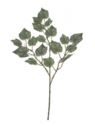 WIOBLUSZCZ GAŁĄZKA LIŚCIE  52CM POWDER GREEN