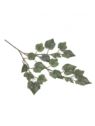 WIOBLUSZCZ GAŁĄZKA LIŚCIE  52CM POWDER GREEN