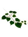 LIŚĆ LESZCZYNA GAŁĄZKA POJEDYNCZA 52CM GREEN