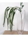 AMARANTUS ZWISAJĄCA GAŁĄZKA 97CM DK GREEN