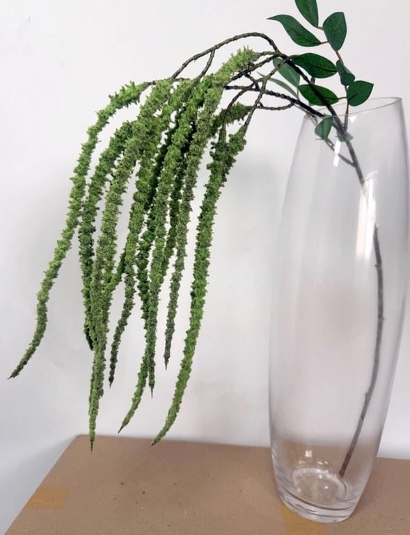 AMARANTUS ZWISAJĄCA GAŁĄZKA 97CM LT GREEN