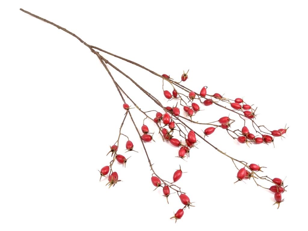 DZIKA RÓŻA Z OWOCAMI GAŁĄZKA 102CM RED