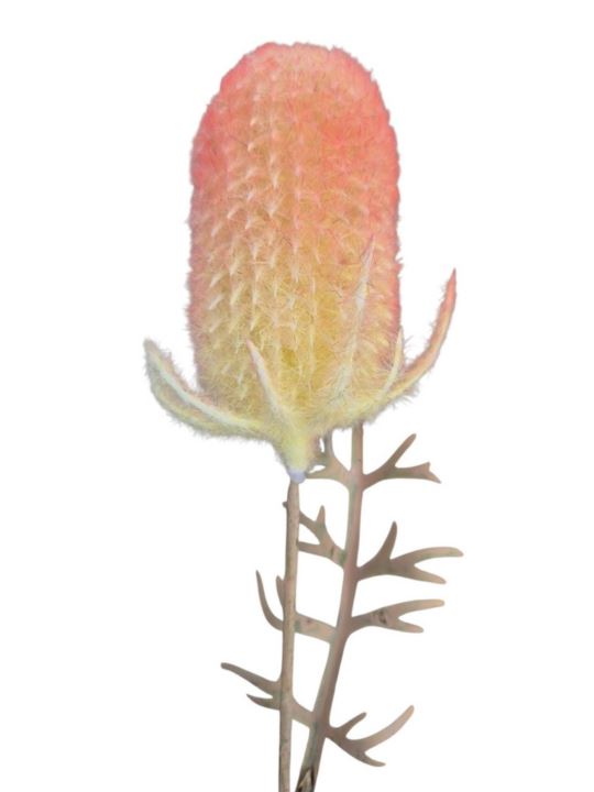 OST – THISTLE GAŁ. 45CM CV41539 FLOCK YELLOW OR