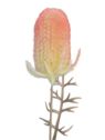 OST – THISTLE GAŁ. 45CM CV41539 FLOCK YELLOW OR