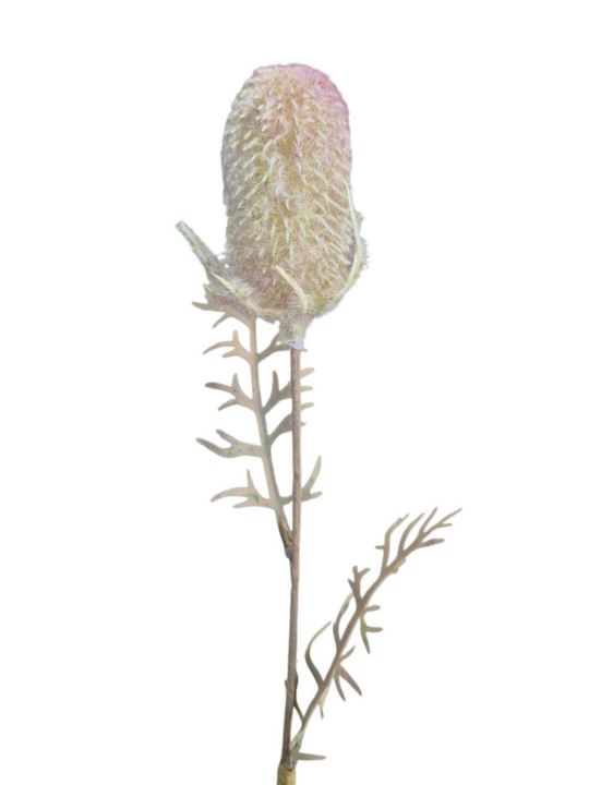 OST – THISTLE GAŁ. 45CM CV41539 FLOCK GREEN VIOL