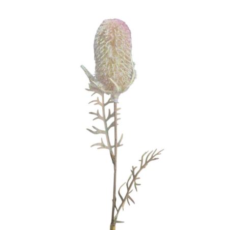 OST – THISTLE GAŁ. 45CM CV41539 FLOCK GREEN VIOL