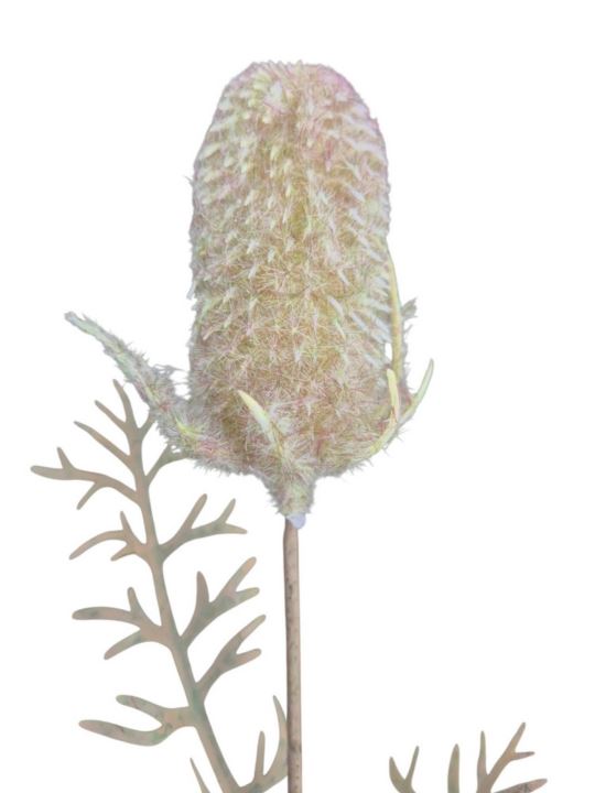 OST – THISTLE GAŁ. 45CM CV41539 FLOCK GREEN VIOL