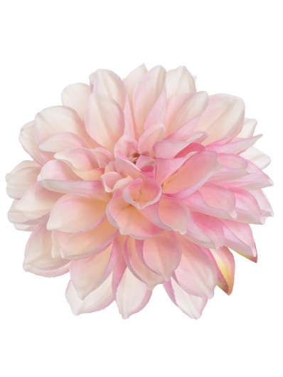 DALIA GŁOWA 16CM TAJ1027 CREAM LT PINK