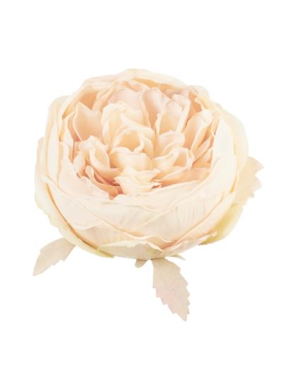 PEONIA GŁOWA VINTAGE 9CM OLD PEACH GREEN