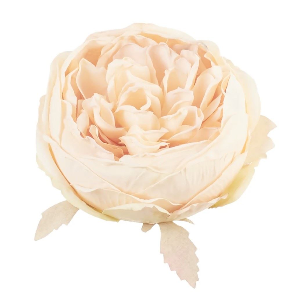 PEONIA GŁOWA VINTAGE 9CM OLD PEACH GREEN