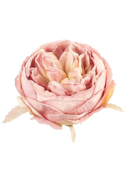 PEONIA GŁOWA VINTAGE 9CM OLD POWDER PINK GREEN