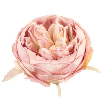 PEONIA GŁOWA VINTAGE 9CM OLD POWDER PINK GREEN
