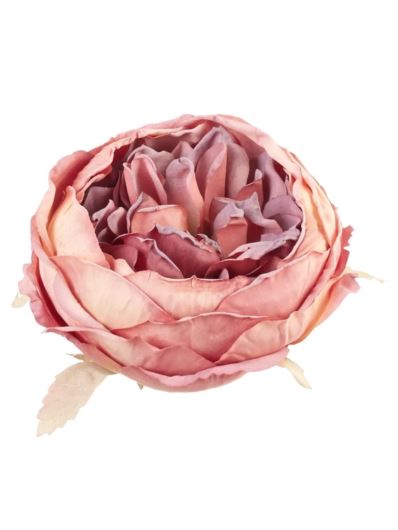PEONIA GŁOWA VINTAGE 9CM OLD MUVE BEAUTY