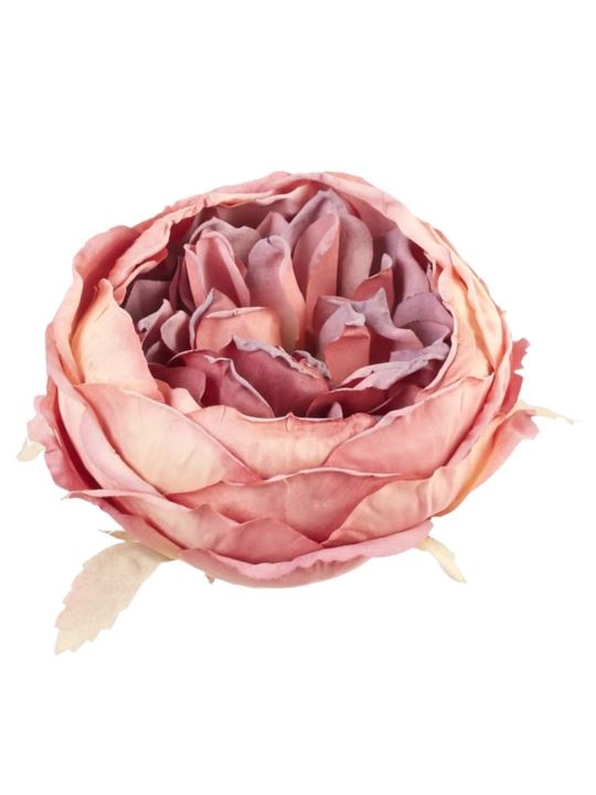 PEONIA GŁOWA VINTAGE 9CM OLD MUVE BEAUTY
