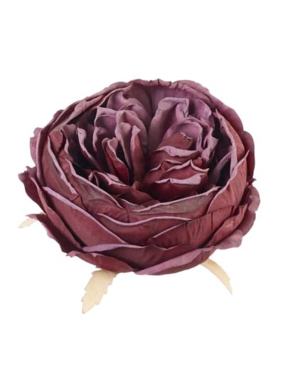 PEONIA GŁOWA VINTAGE 9CM OLD BURGUNDY