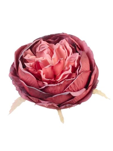 PEONIA GŁOWA VINTAGE 9CM OLD RED RASPBERRY