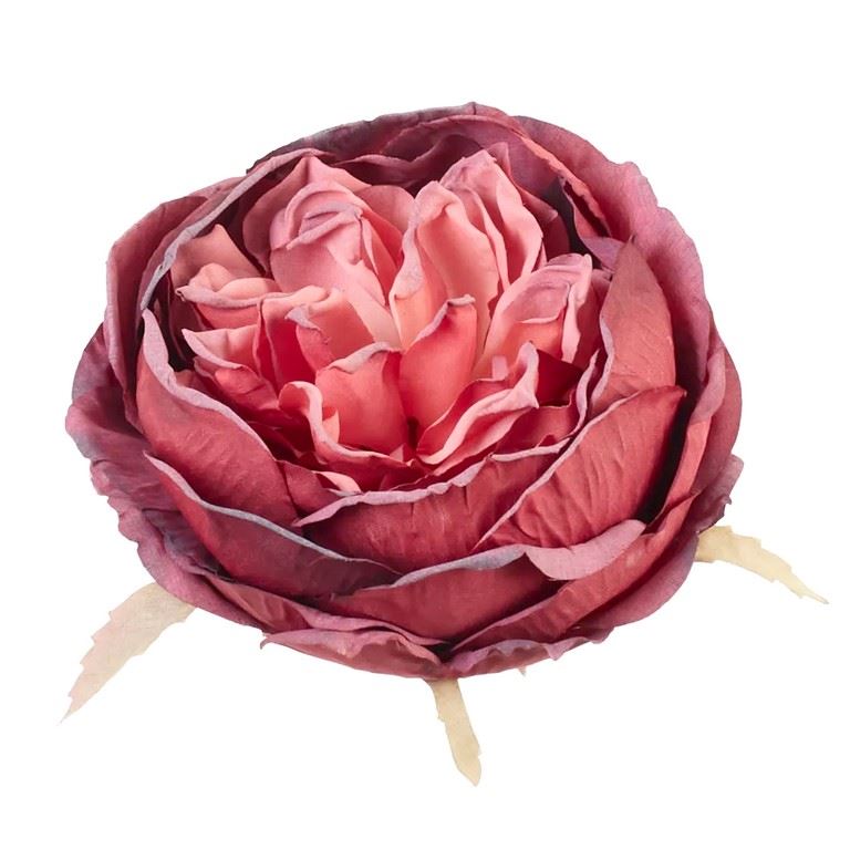 PEONIA GŁOWA VINTAGE 9CM OLD RED RASPBERRY