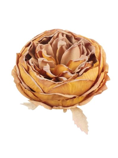 PEONIA GŁOWA VINTAGE 9CM OLD MUSTARD BROWN