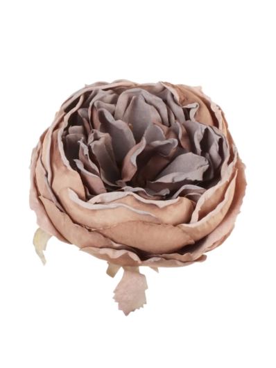 PEONIA GŁOWA VINTAGE 9CM OLD CAPPUCINO BROWN