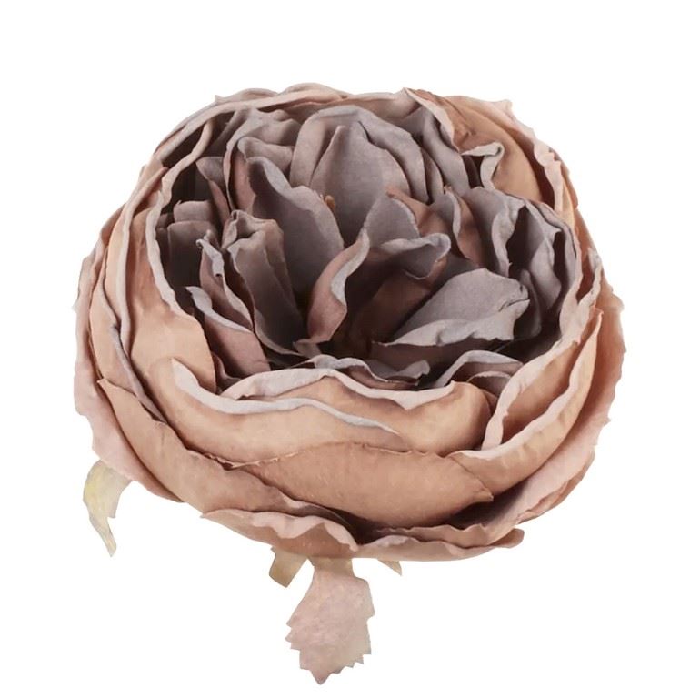 PEONIA GŁOWA VINTAGE 9CM OLD CAPPUCINO BROWN