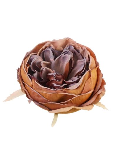 PEONIA GŁOWA VINTAGE 9CM OLD MILK CHOCOLATE