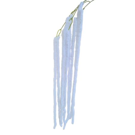 AMARANTUS PLUSZOWY ZWIS 160CM WHITE