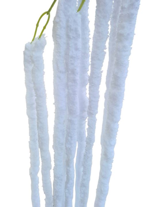 AMARANTUS PLUSZOWY ZWIS 160CM WHITE