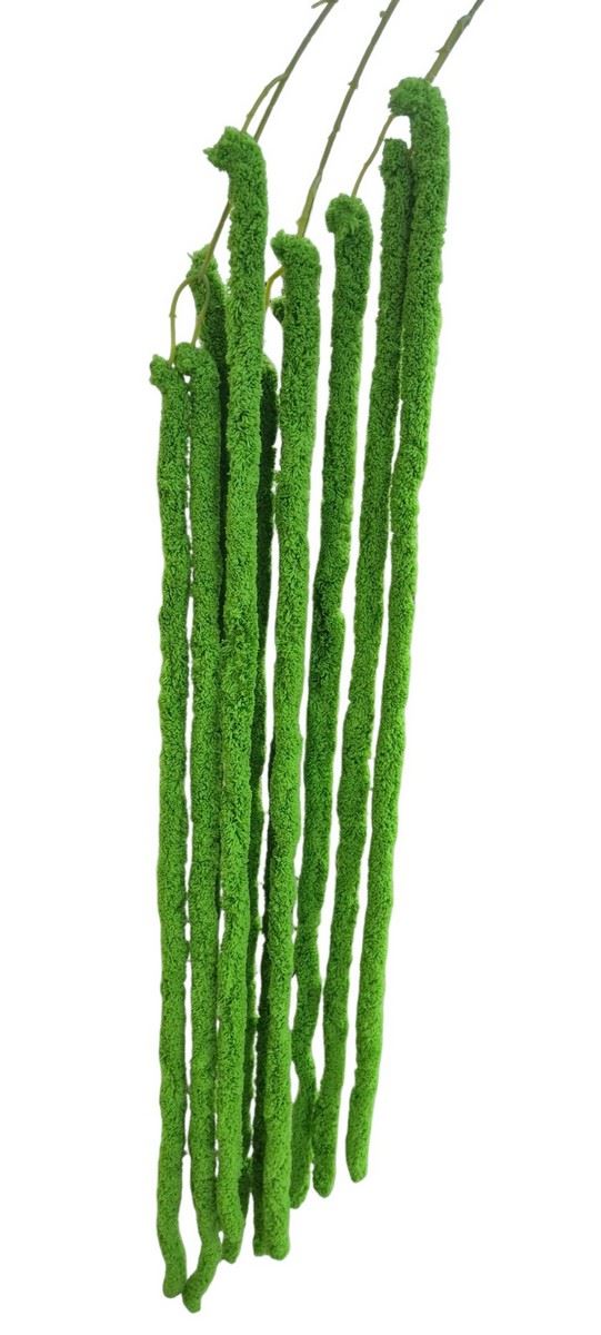 AMARANTUS PLUSZOWY ZWIS 160CM JUCY GREEN