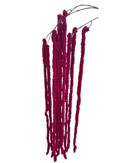 AMARANTUS PLUSZOWY ZWIS 160CM BURGUNDY