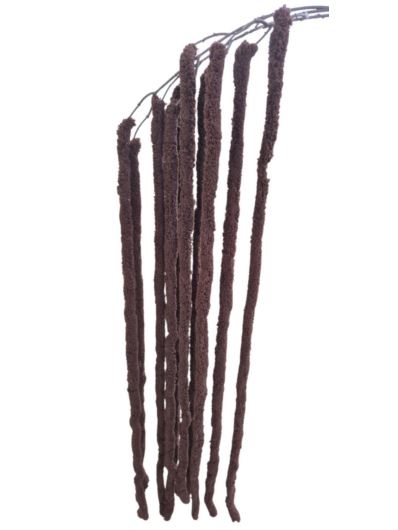 AMARANTUS PLUSZOWY ZWIS 160CM CHOCOLATE