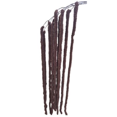 AMARANTUS PLUSZOWY ZWIS 160CM CHOCOLATE